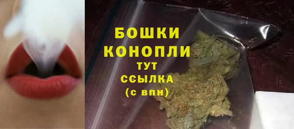 крисы Медногорск