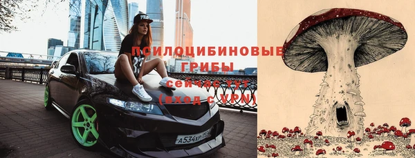 крисы Медногорск