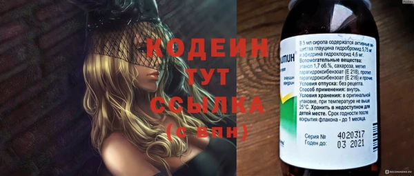 крисы Медногорск