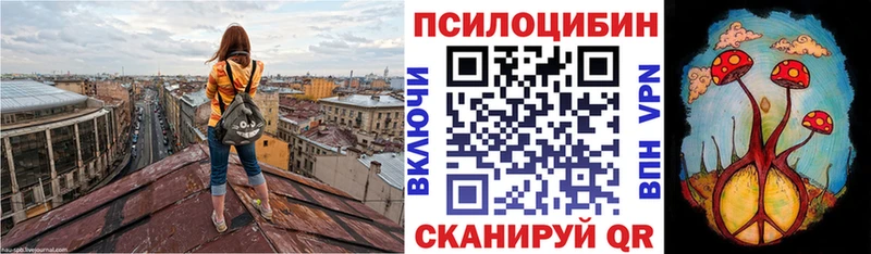 Псилоцибиновые грибы Psilocybine cubensis Нарткала