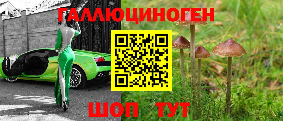 Нарткала  Галлюциногенные грибы Cubensis  цены   Вход с VPN 