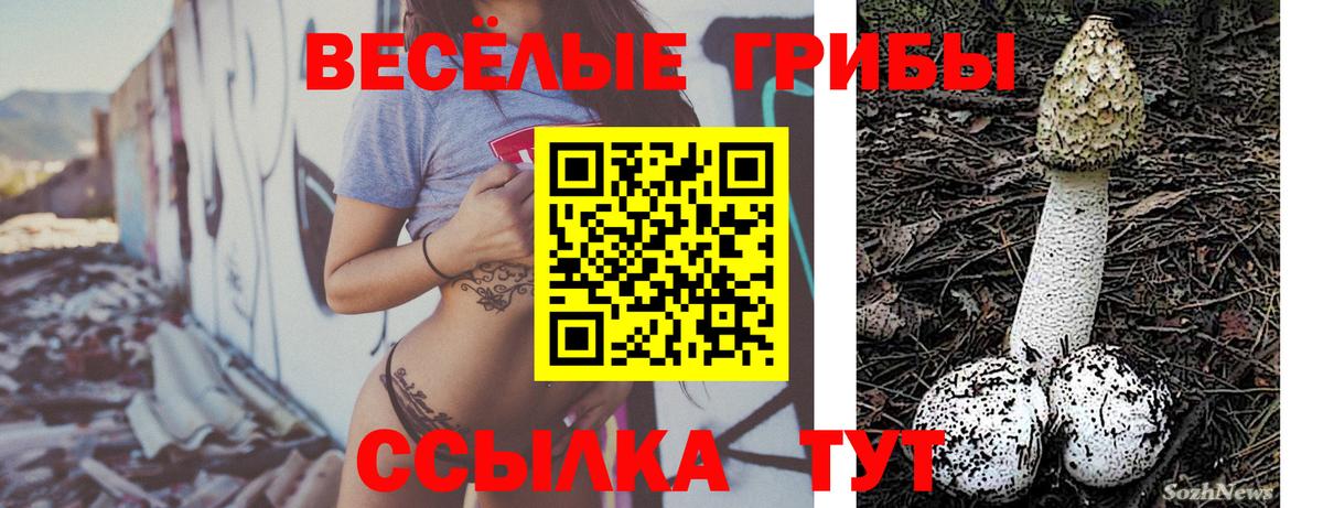 Псилоцибиновые грибы Psilocybine cubensis  Псилоцибиновые грибы Cubensis  Нарткала 