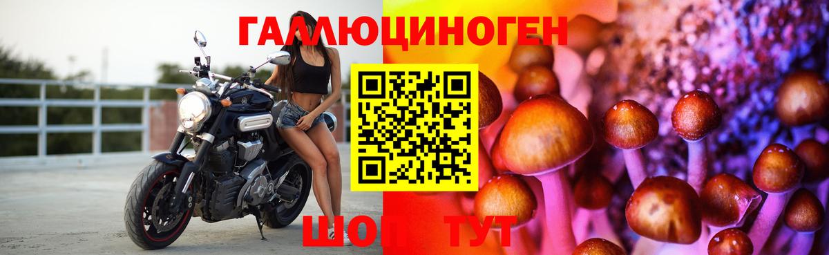 Галлюциногенные грибы прущие грибы Нарткала